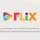 9xflix